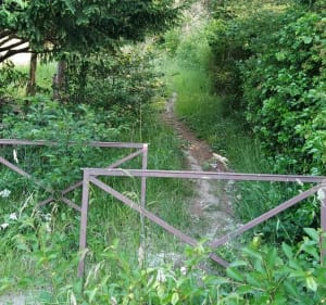 Randonnée de Val-de Reuil à St Léger du bourg Denis - Val-de-Reuil - 2