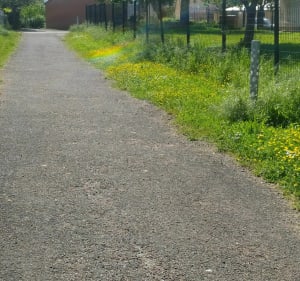 Balade Vélo Tout Chemin dans et autour de Venarey-Les Laumes - Venarey-les-Laumes - 2