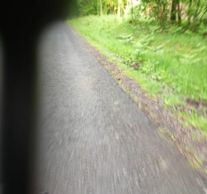 Le tour de Dompierre sur Besbre par le Bois des Millets - Dompierre-sur-Besbre - 2