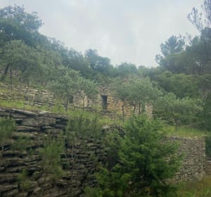 Lumières, Goult, Les Beaumettes dans le Vaucluse - Goult - 2