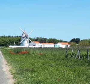 Un petit tour vers les Huttes - La Brée-les-Bains - 2