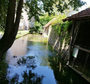 Les eaux bleues de Tavers - Tavers - 2