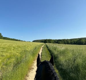 Balade champêtre au Val-Saint-Germain - Saint-Cyr-sous-Dourdan - 2