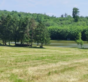 Balade à Hagenbach - PhilippeC - 3