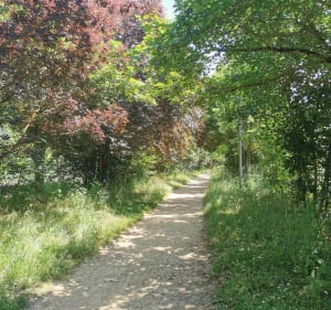 Entre Ramonville et Pouvourville - Ramonville-Saint-Agne - 2