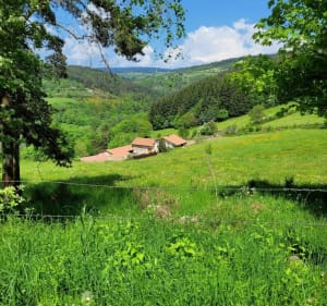 De Chavassoux à Chalmazel à VTT - Saint-Just-en-Bas - 2