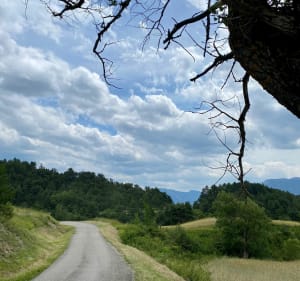 Boucle gravel au départ de Chatillon en Diois - Châtillon-en-Diois - 2