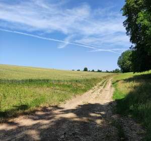 Promenade Aspach - PhilippeC - 3
