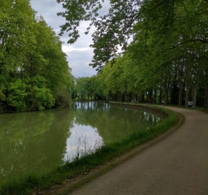 Balade sur le Canal du Midi à Ramonville-Saint-Agne - Ramonville-Saint-Agne - 4