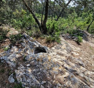 Grimpette au roc de Cagalière depuis Lagrasse - Sylvie - 3
