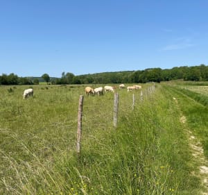 Sortie rapide entre Dammartin et Guérard à VTT - Romain - 2