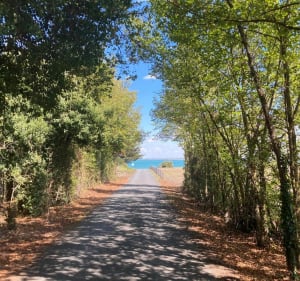 Découverte de l’Ile de Ré - Le Bois-Plage-en-Ré - 2