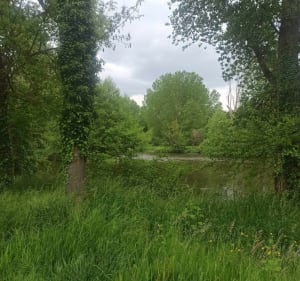 Les Cordeliers au départ de l’île de la Ronde - Lindsey - 3