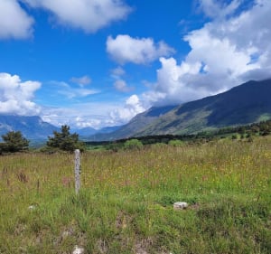 Montée au lac des Barbeyroux - Saint-Bonnet-en-Champsaur - 2