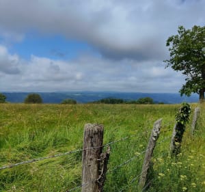 Rando au départ des Moulinots - Vincent - 4