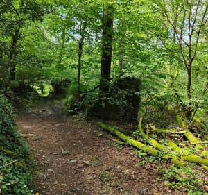 Rando au départ des Moulinots - Argentat-sur-Dordogne - 2