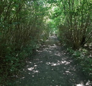 De Liez à Versigny via Saint Nicolas aux Bois - Liez - 2