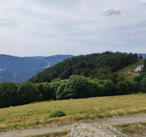 Belle balade au Markstein - Ranspach - 4