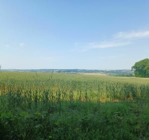 Balade sur le bocage de Saint pierre du regard - Saint-Pierre-du-Regard - 2
