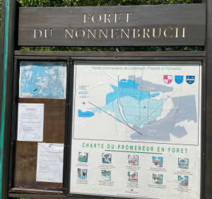 Forêt du Nonnenbruch depuis le stade de Lutterbach - Lutterbach - 2