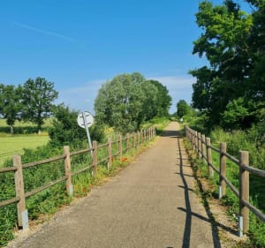 Randonnée de Ouroux sur Saône - Olivier - 3