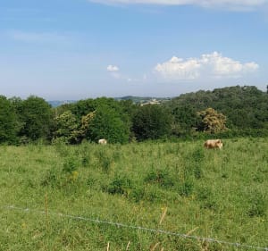 Boucle Urdès-lac de Doazon-Urdès par Retenue de l'Aubin - Urdès - 2