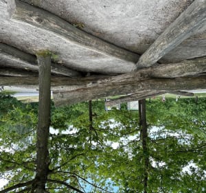 La Deûle au cœur des Weppes - Hallennes-lez-Haubourdin - 2