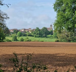 Cité fortifiée de Brigueuil et sa forêt - Marion - 3