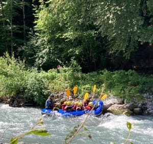 Le Bois aux Dames le long du Griffe au Perret - Samoëns - 2