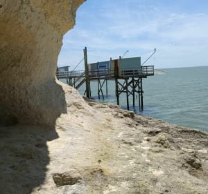 Balade sur le port et la corniche de Meschers-sur-Gironde - Meschers-sur-Gironde - 4