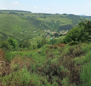 Het waterpad bij Cros Georand - Cros-de-Géorand - 2