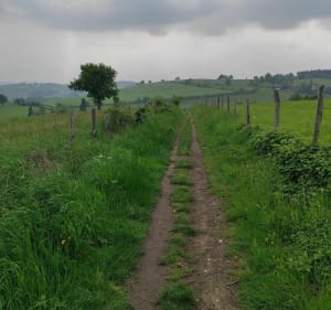 Les meules depuis Saint Genest Lerpt - Saint-Genest-Lerpt - 2