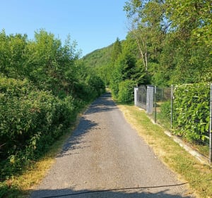 Voie verte, de Thilay vers Haulmé - Thilay - 2