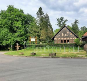 Petite virée pour voir des cigognes et Forêt de Haguenau à Vélo - Christine - 5
