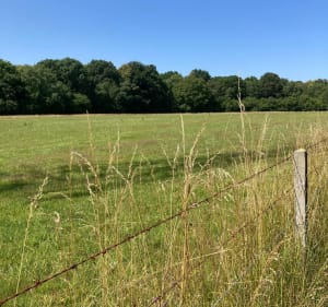 Balade en forêt et en campagne à Malaunay - Le Houlme - 2