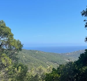 Petit tour dans les Petites Maures proche de Sainte-Maxime - Roquebrune-sur-Argens - 2