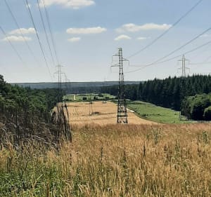 Randonnée en forêt de Montigny - Montigny - 2