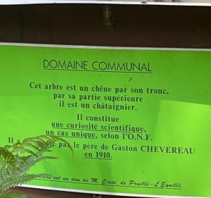 Belle marche sous le soleil par l'Hommedaire - Saint-Mars-d'Outillé - 2