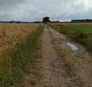 St-Jean-de-Thurigneux et Toussieux, au départ de Neuville - NICOLAS - 4
