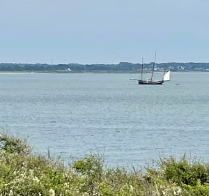 Balade au Petit Mont dans le Morbihan - Magali - 3