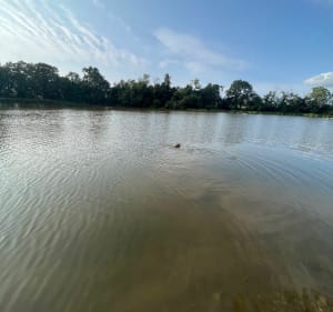 Promenade autour du château des Pères à Piré-sur-Seiche - Piré-Chancé - 5