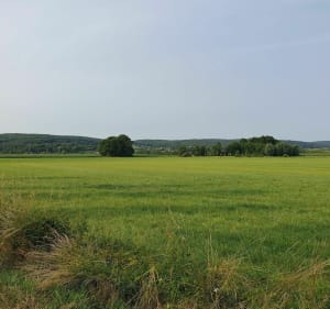 Balade entre le Jura et le Doubs pour retrouver l'Ognon - Jallerange - 2
