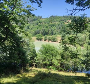 Boucle bois de Trevas - GEOFFREY - 3