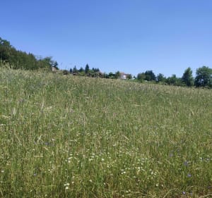 Boucle bois de Trevas - Les Villettes - 2