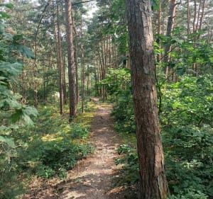 Par la réserve naturelle à Saint Etienne - Roche-la-Molière - 2