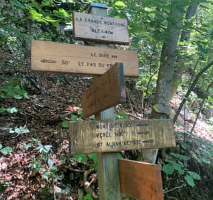 Montée du Sire par passage de la Croé retour par Montbasin - David - 3