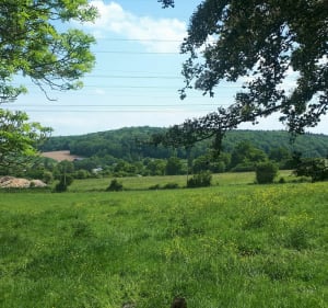 Chemin des faneuses à Condé-sur-Risle - Condé-sur-Risle - 2