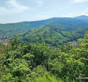 Château d'Andlau, auberge Hungerplatz et  château Spesbourg. - Mittelbergheim - 4