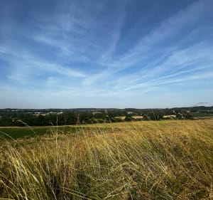 Sortie autour de Vignot par la Croix de la Trace - Vignot - 2