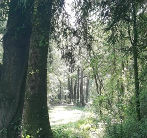 Balade le long du canal entre Gueltas et Saint Gonnery - Sophie - 3